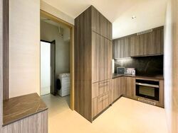 Klimt Cairnhill (D9), Apartment #472983121